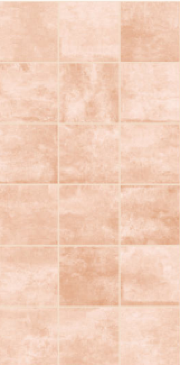 581-Rosa